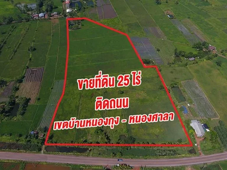 ขายที่ดินเขตบ้านหนองกุง-หนองศาลา เนื้อที่ 25 ไร่