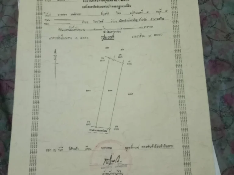 ถูกๆๆๆๆถูกกว่านี้ไม่มีอีกแล้ว85000แปดหมื่นห้าพันบาทต่อไร่ ที่ดินมี 4 ไร่