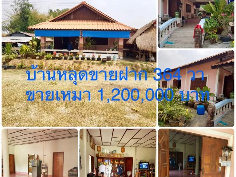 ขายบ้านหลุดจากขายฝาก 346 ตรว