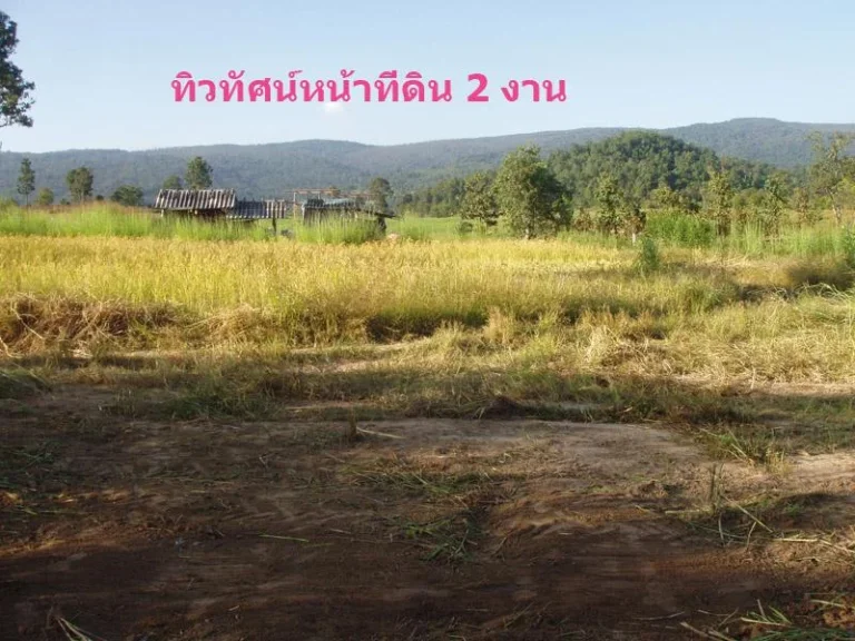 ขายที่ดิน 1 ไร่ 950000 เหมาะกับบ้านสวน ห่างทางหลวง 300กว่าเมตร