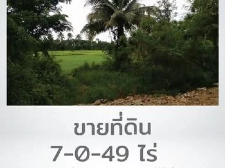 ขายที่ดิน ตำบลสามกระทาย อำเภอกุยบุรี จประจวบคีรีขันธ์