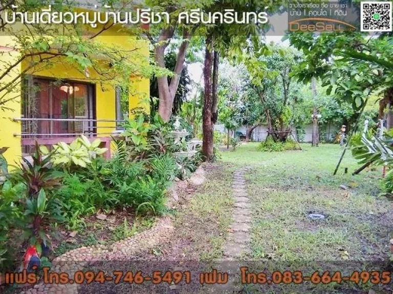 บ้านเดียว หลังมุม ปรีชา ศรีนครินทร์ ื171 ตรว