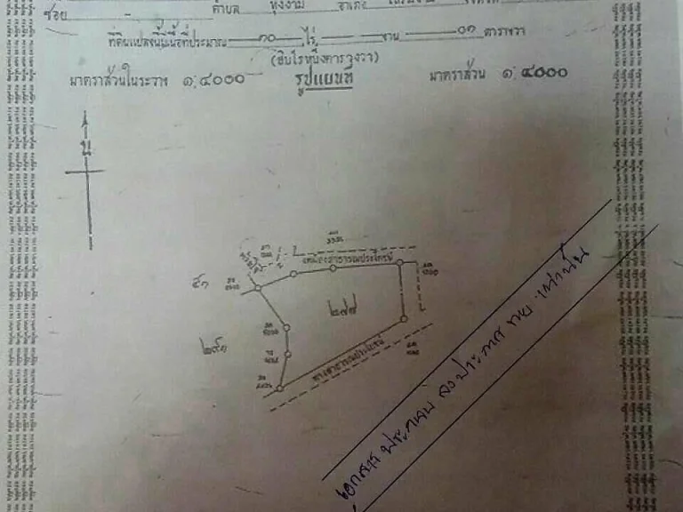 ขายด่วนที่ดิน 10 ไร่พร้อมโอน