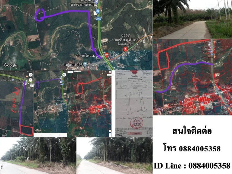 ขายที่ดินสวนปาล์ม อำเภอละแม จังหวัดชุมพร