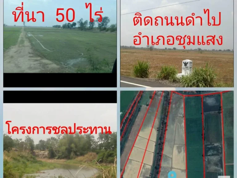 ขายที่นา ตบางพระหลวง