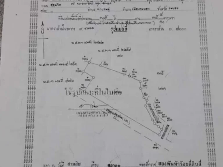 ขายที่ดินราคาถูกสุดๆติดถนนสุขุมวิท 37-3-25ไร่ อเมือง จระยอง