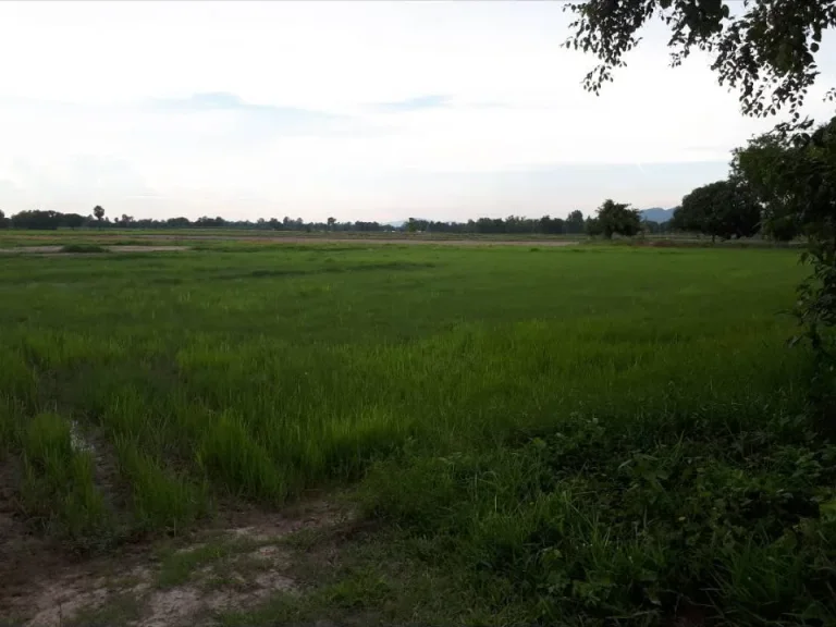 ขายที่ดิน ถนนสุวรรณศร อบ้านนา ใกล้สวนสันติภาพธรรมสถาน จนครนายก เนื้อที่5ไร่3งาน26ตรว