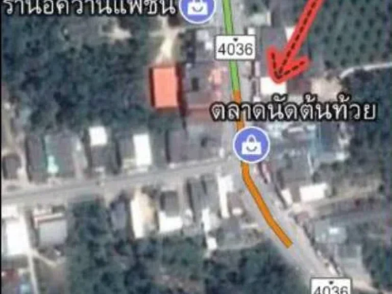 ขายที่ดิน 5 ไร่ จังหวัดกระบี่ ตำบลคลองเขม้า