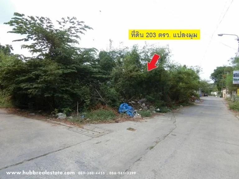 ขายที่ดิน 203 ตรว แปลงมุม ซแบริ่ง 31 สุขุมวิท 107 เข้าซอยเพียง 200 เมตร