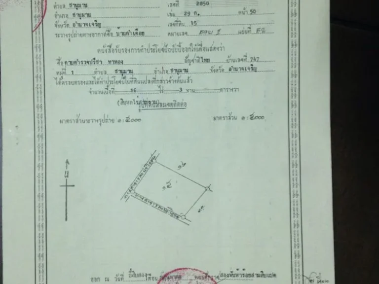 ขายที่ดินอชานุมาน จอำนาจเจริญ 48 ไร่