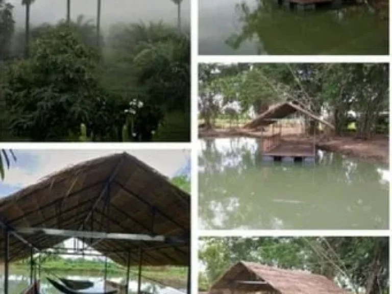 บ้านสวน 2 ชั้น พร้อมเรือนแถวยกพื้น 5 ห้องนอน อแม่ทะ จังหวัดลำปาง