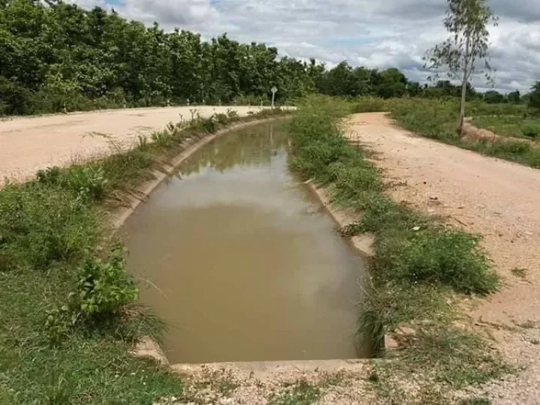 ขายที่ดินในเขตอำเภอห้างฉัตร จังหวัดลำปาง