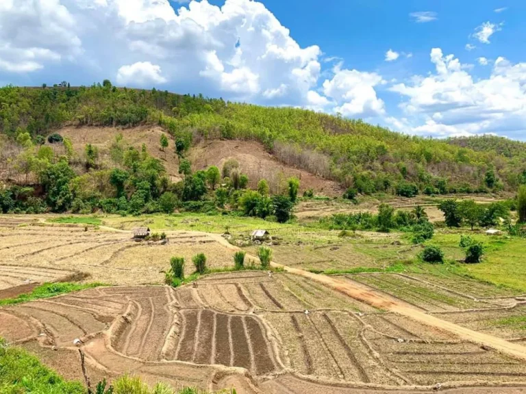 ขายทีดินวิวเนินดอย แม่แจ่ม เชียงใหม่