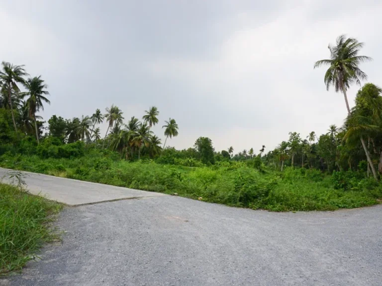 ขายที่ดิน บางคูเวียง บางใหญ่ นนทบุรี