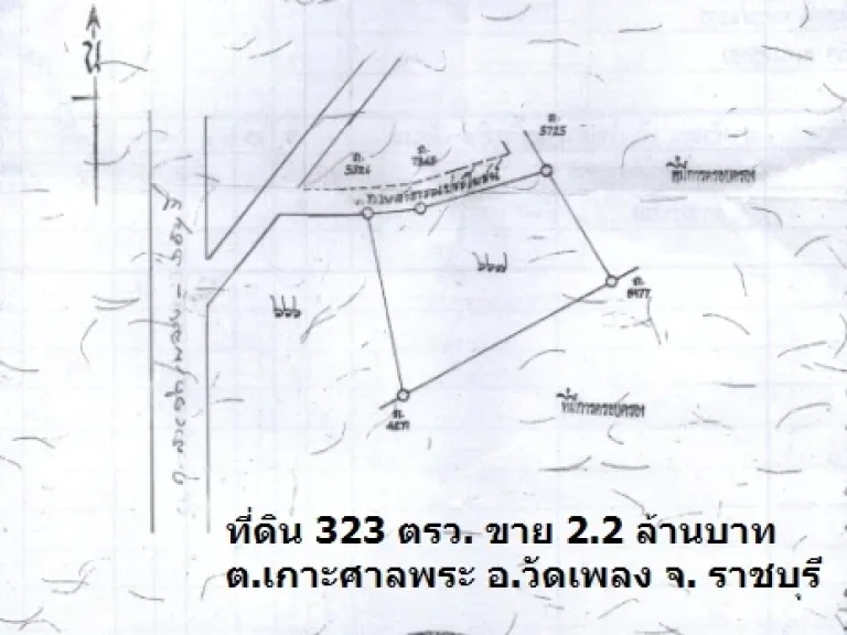 ที่ดิน 3 งาน 23 ตรว ราคา 2 ล้าน ถมสูง 15 เมตร บ้านเกาะศาลพระ วัดเพลง ราชบุรี