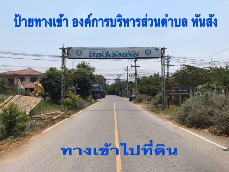 ขายที่ดิน ซอยวัดไก่ อบตหันสัง บางปะหัน พระนครศรีอยุธยา 93 ตรว ถูกมาก ผ่อนไม่เสียดอกเบี้ย