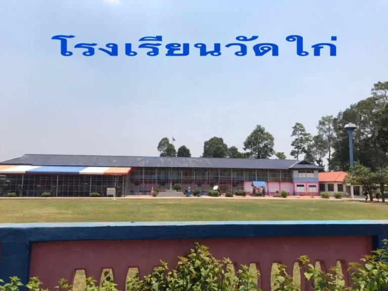 ขายที่ดิน ซอยวัดไก่ อบตหันสัง บางปะหัน พระนครศรีอยุธยา 93 ตรว ถูกมาก ผ่อนไม่เสียดอกเบี้ย