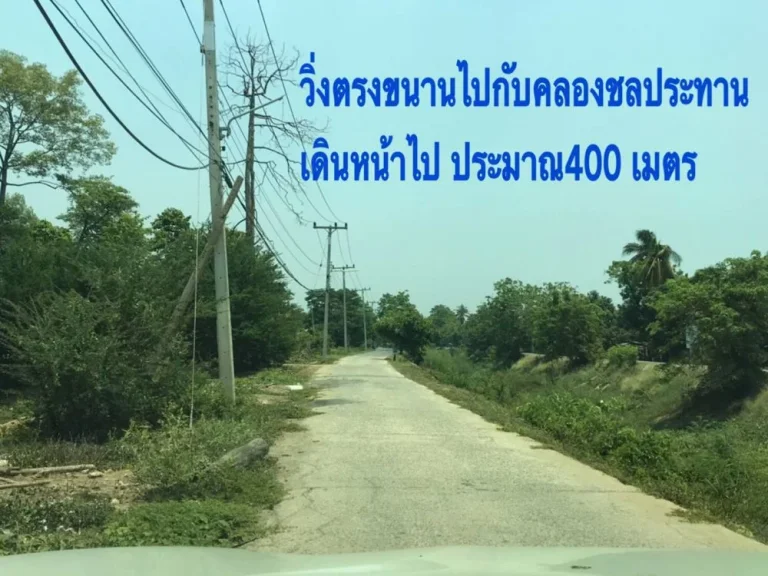 ขายที่ดิน ซอยวัดไก่ อบตหันสัง บางปะหัน พระนครศรีอยุธยา 93 ตรว ถูกมาก ผ่อนไม่เสียดอกเบี้ย