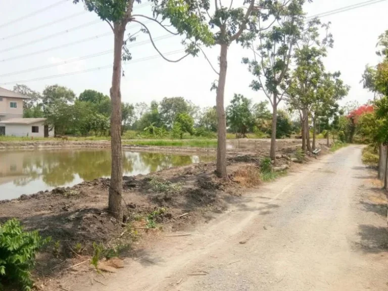 ที่ดิน บางบัวทอง ติดคลองประปา บรรยากาศร่มรื่น เหมาะสร้างบ้าน สร้างรีสอร์ท โฮมสเตย์ แบ่งล็อคขาย