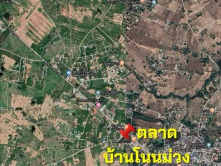 ขายที่ดินติดทางเลี่ยงเมือง 8-1-59ไร่ ห่างถมิตรภาพ-แยกไปอุดร 2กม