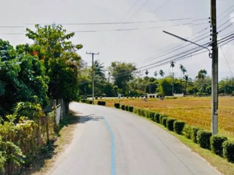 ขายที่ดินติดถนนซอย หนองหารสันทราย เชียงใหม่