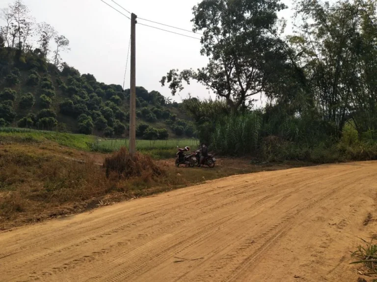 ขายที่ดินบ้านทุ่งละคร วิวดอย เชียงดาว เชียงใหม่