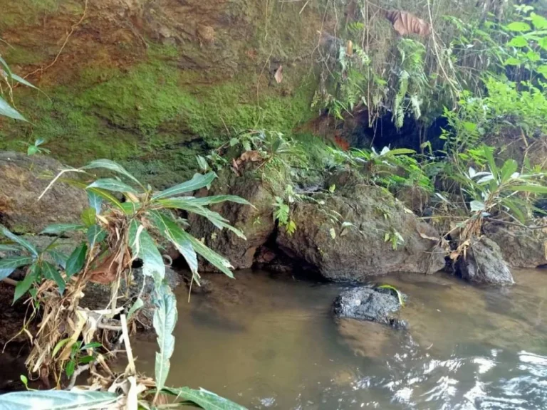 ขายที่ดินติดธารน้ำไหล แม่นะ เชียงดาว เชียงใหม่