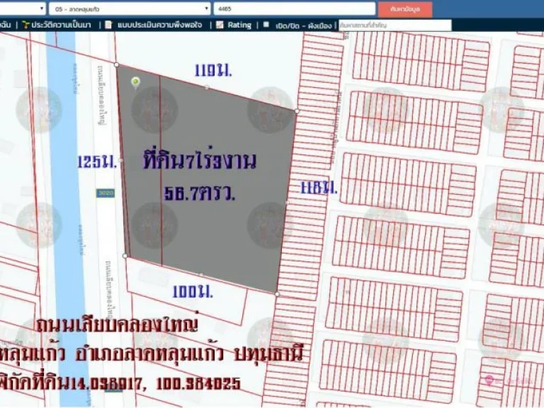 ขายที่ดิน7ไร่3งาน57ตรวหน้ากว้าง125มพื้นที่สีเขียว ถนนเลียบคลองใหญ่ ตลาดหลุมแก้ว อลาดหลุมแก้ว จปทุมธานี