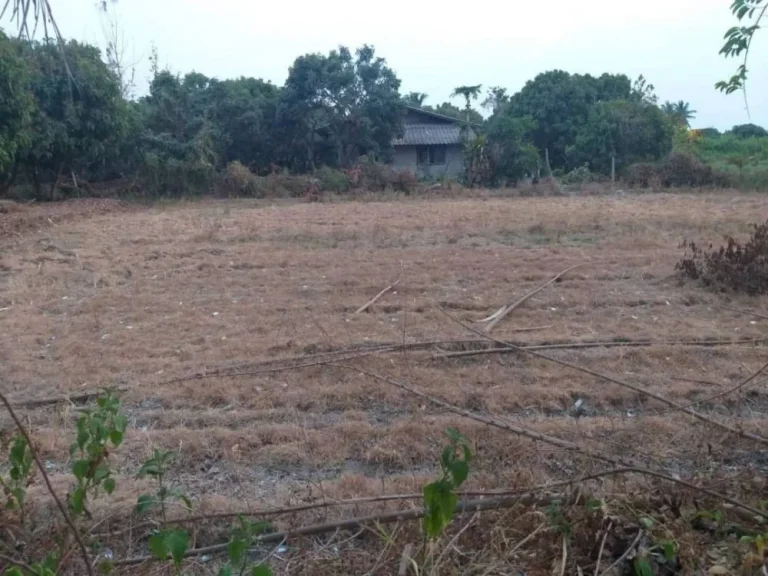 ขายที่ดินวิวดอย น้ำบ่อหลวง สันป่าตอง เชียงใหม่