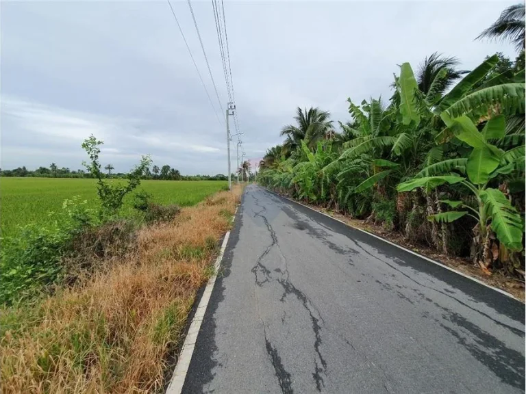 ที่ดินเนื้อที่ 40 ไร่ 375 ว แถวบางใหญ่ นนทบุรี