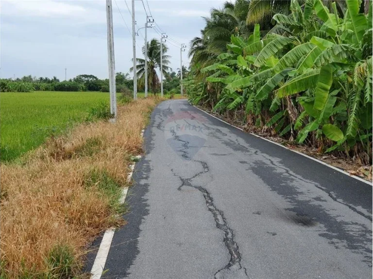 ที่ดินเนื้อที่ 40 ไร่ 375 ว แถวบางใหญ่ นนทบุรี