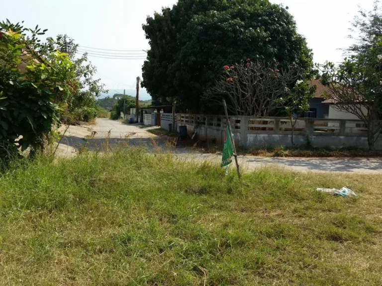 ที่ดินลำตะคอง คลองไผ่ เขาพริก สีคิ้ว