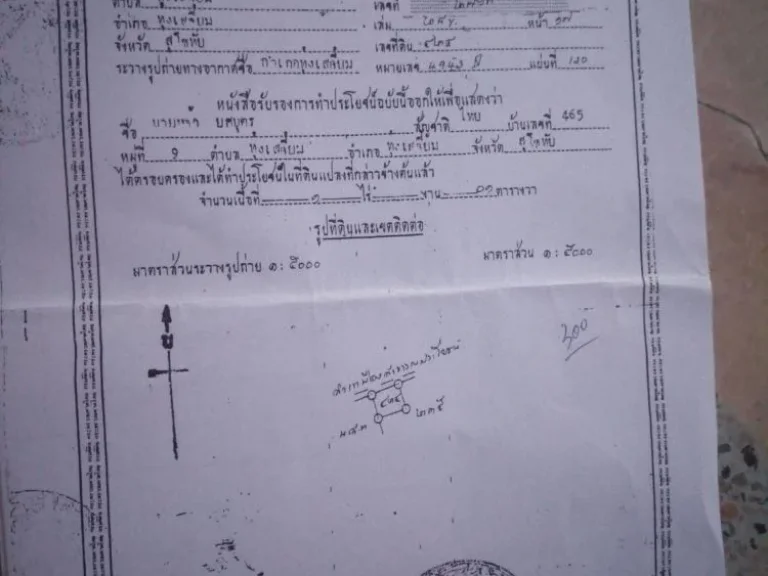 ขายที่ดิน1ไร่1ตารางวาพร้อมบ้าน ใกล้ๆๆวัดพิพัฒน์