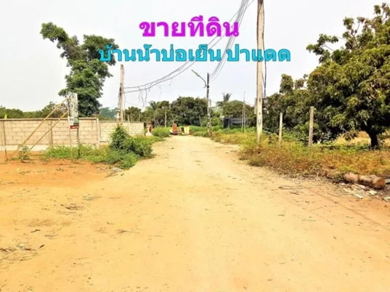 ขายที่ดิน บ้านน้ำบ่อเย็น ตำบลป่าแดด อำเภอเมือง จังหวัดเชียงใหม่ ใกล้เมือง ราคาถูกกว่าที่ข้างเคียง