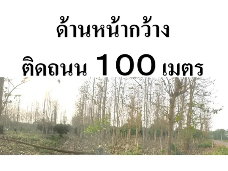 ที่ดินที่เชียงราย ราคาถูกมาก