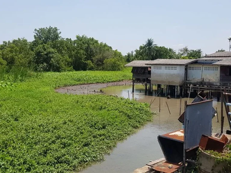 ขายบ้านพร้อมที่ดินติดริมแม่น้ำเจ้าพระยา อเกาะเกร็ด จนนทบุรี