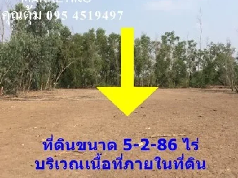 ขายที่ดิน 5-2-86 ไร่ ซอยไอยรา 29 คลองสอง คลองหลวง ปทุมธานี ติดต่อ คุณตุ้ม 095 4519497