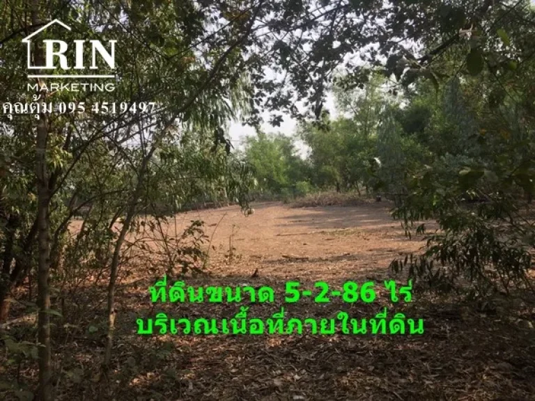 ขายที่ดิน 5-2-86 ไร่ ซอยไอยรา 29 คลองสอง คลองหลวง ปทุมธานี ติดต่อ คุณตุ้ม 095 4519497