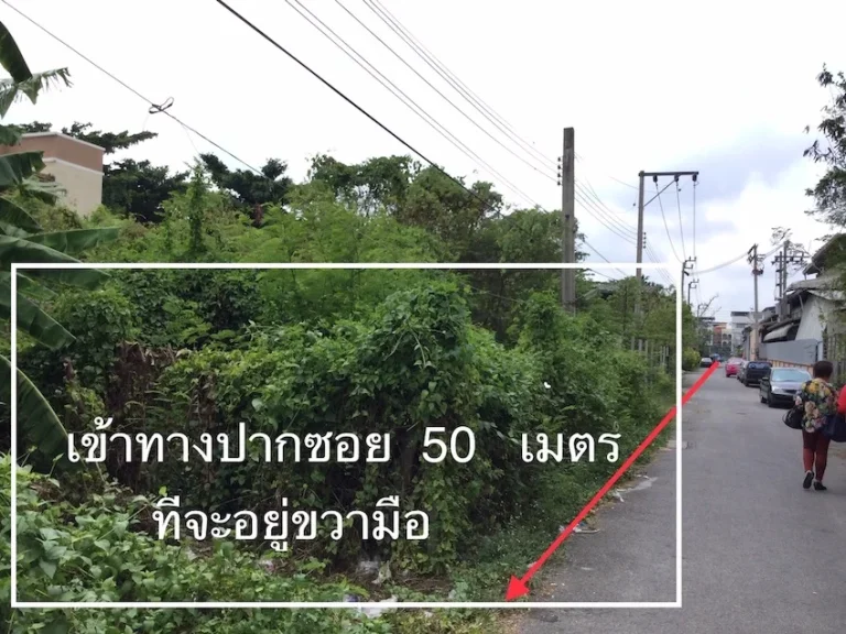 ขาย ที่ดิน เอกชัย64 บางบอน เนื้อที่ 196 ตรว