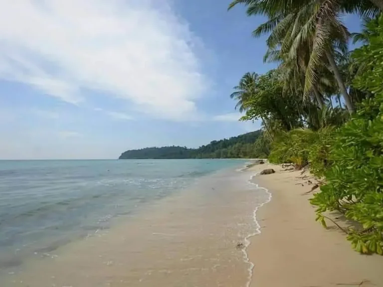 ที่ดิน เกาะกูด ติดหาดทราย หน้ากว้าง 30 เมตร อยู่บริเวณ หาดตะเคียน อยู่ใกล้เคียงกับ จามส์ เฮาส์ เกาะกูด รีสอร์ท