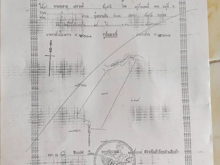 ขายสวนยางพารา 24-1-70ไร่ พร้อมกรีด มีถนนดิน