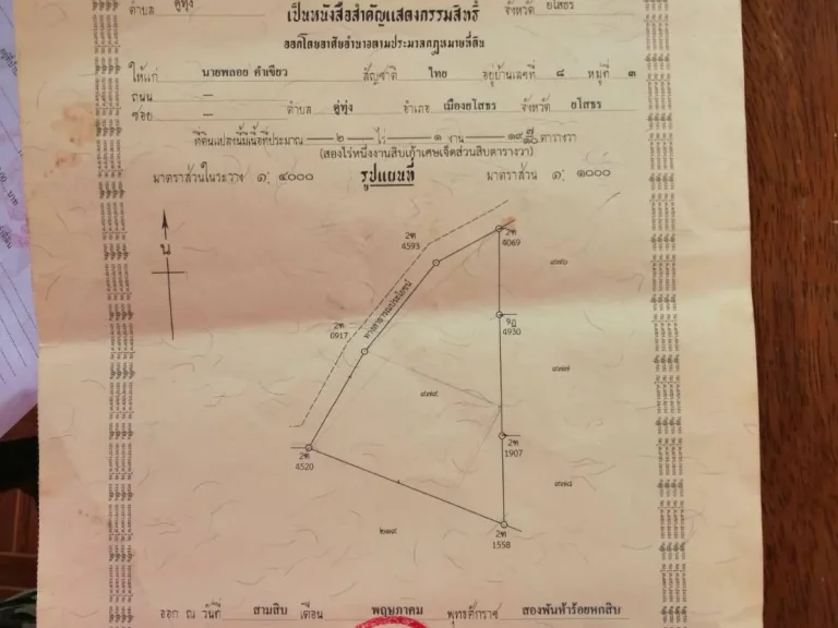 ขายด่วนถูกมากที่ดิน