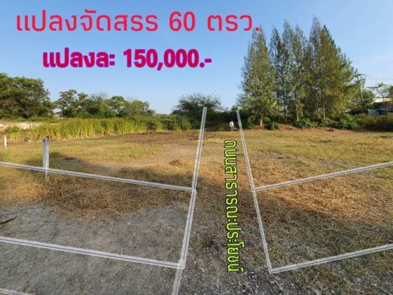 ที่ดินจัดสรร ปราณบุรี อยู่หลัง รีสอร์ทวีนัส พร้อมขาย แบ่งแยกเอกสารเรียบร้อย 60 ตรว