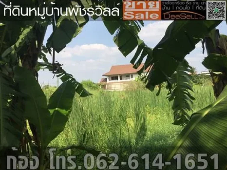 ขายที่บางใหญ่ 1งาน548ตรว หมู่บ้านพัชรวิลล์ ถมแล้ว