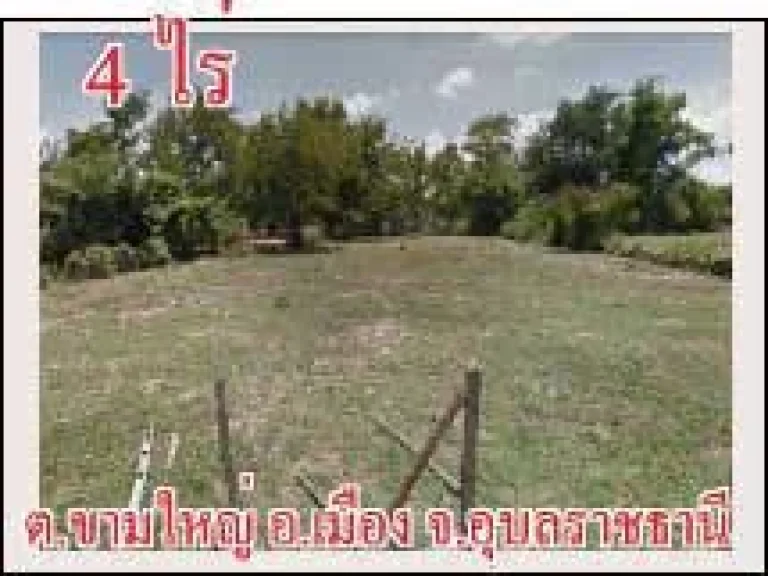 POP-1216 ที่ดิน 4 ไร่ โซนหนองหว้า ตขามใหญ่ อเมือง จอุบลฯ แบ่งขายหรือยกแปลง ไร่ละ 65 แสนบาท