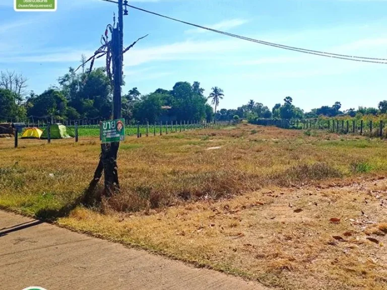 ที่ดินบ้านสำราญหัวเรือ 450000 บาท 1ไร่