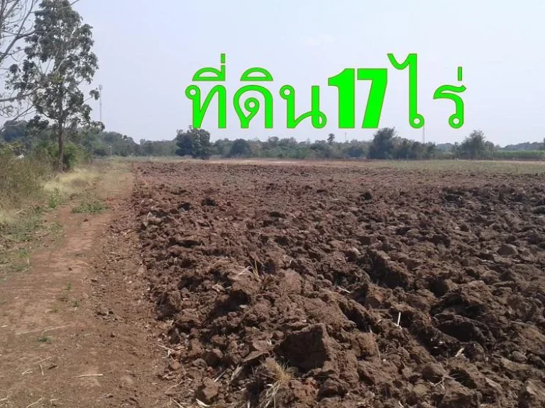 ขายที่ดิน17ไร่ ในหมู่บ้านทุ่งไล่ไก่ ตหินกอง อเมือง ราชบุรี ที่ดินเหมาะทำการเกษตร ห่างตัวเมืองราชบุรีเพียง12กม51ล้าน