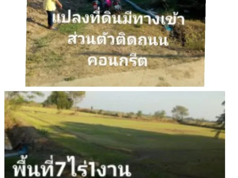 ขายที่ดินติดถนนน้ำไฟฟ้าปะปา เหมาะทำบ้านสวนอยู่อาศัย