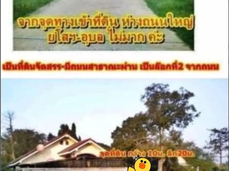 ขายที่ดินสร้างบ้านในเมืองใกล้ รพยโสธรล๊อคสุดท้ายด่วน