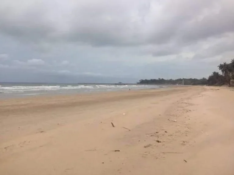 ขายที่ริมหาดสะพลี ติดทะเล ตสะพลี อปะทิว จชุมพร